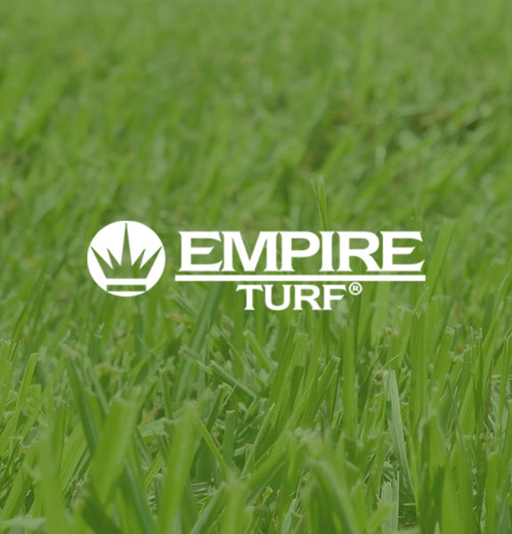 EMPIRE Turf grass